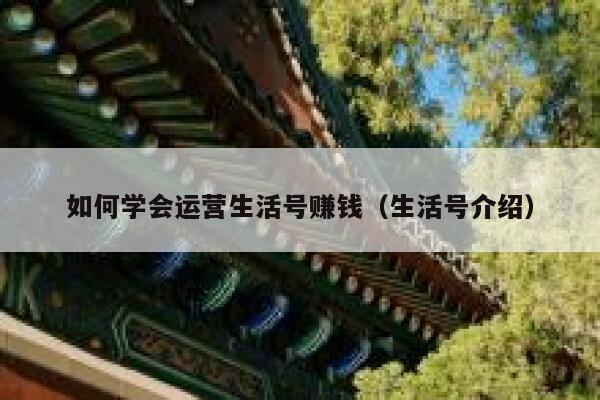 如何学会运营生活号赚钱（生活号介绍）