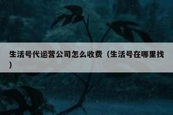 生活号代运营公司怎么收费（生活号在哪里找）