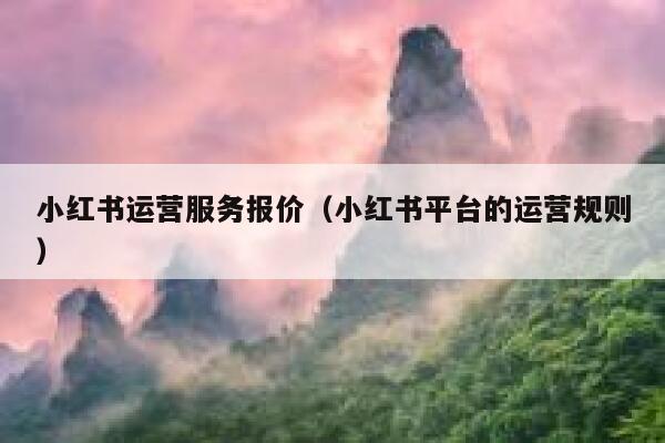 小红书运营服务报价（小红书平台的运营规则）