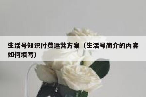 生活号知识付费运营方案（生活号简介的内容如何填写）