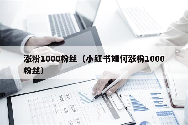 涨粉1000粉丝（小红书如何涨粉1000粉丝）