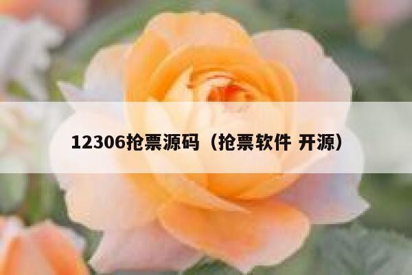 12306抢票源码（抢票软件 开源）