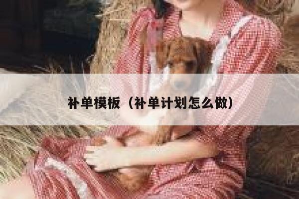 补单模板（补单计划怎么做）