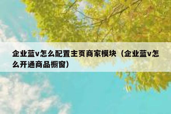 企业蓝v怎么配置主页商家模块（企业蓝v怎么开通商品橱窗）