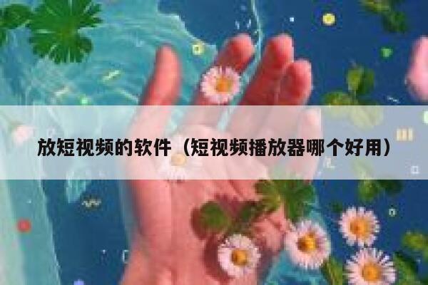 放短视频的软件（短视频播放器哪个好用）