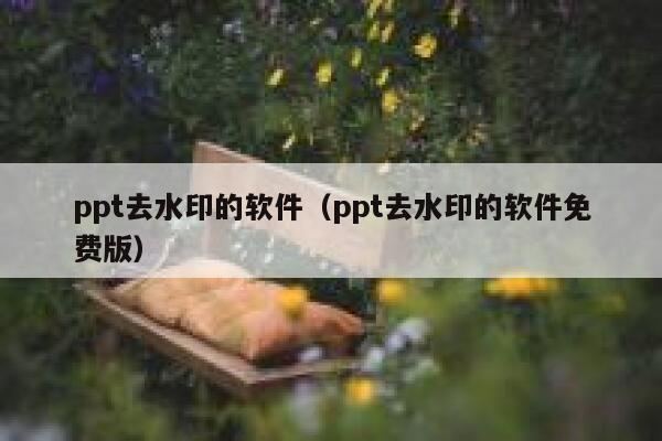 ppt去水印的软件（ppt去水印的软件免费版）