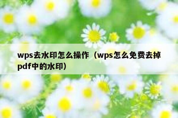 wps去水印怎么操作（wps怎么免费去掉pdf中的水印）