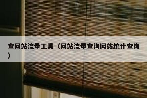 查网站流量工具（网站流量查询网站统计查询）