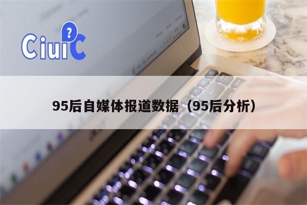 95后自媒体报道数据（95后分析）