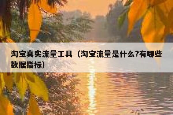 淘宝真实流量工具（淘宝流量是什么?有哪些数据指标）