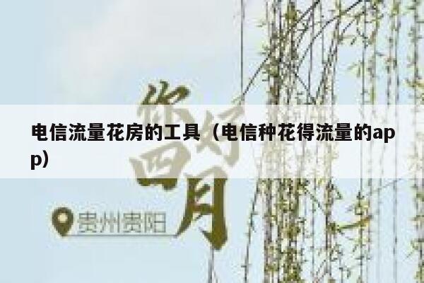 电信流量花房的工具（电信种花得流量的app）