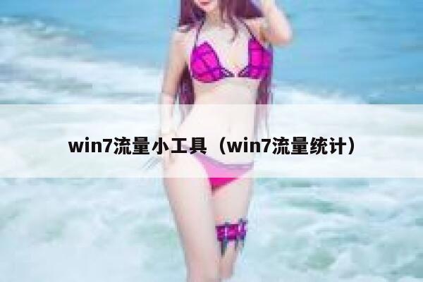 win7流量小工具（win7流量统计）