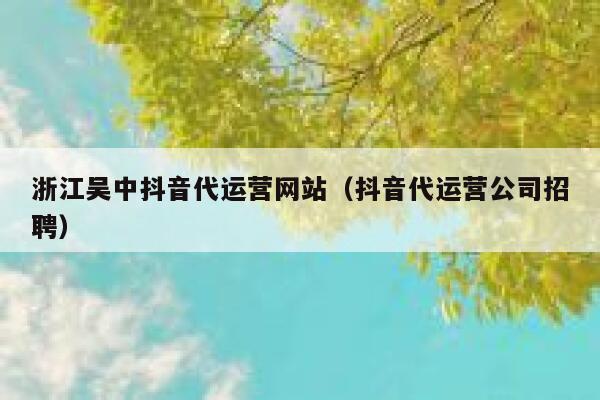 浙江吴中抖音代运营网站（抖音代运营公司招聘）