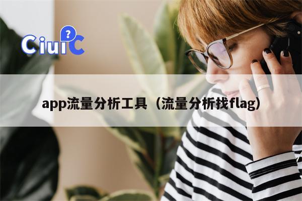 app流量分析工具（流量分析找flag）