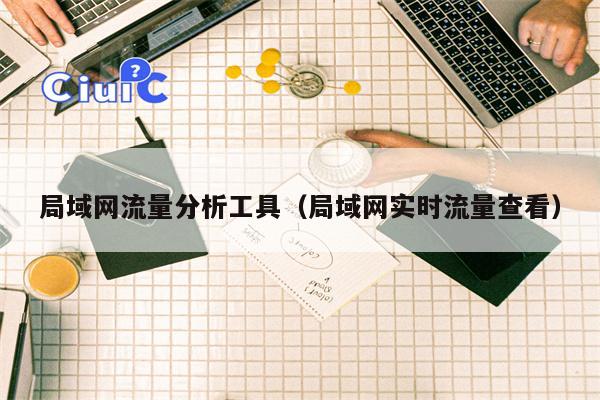 局域网流量分析工具（局域网实时流量查看）