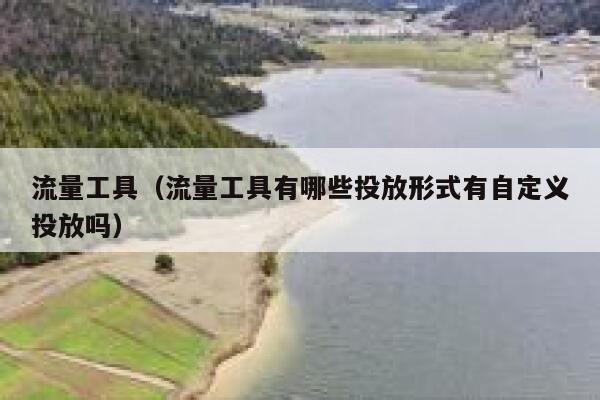 流量工具（流量工具有哪些投放形式有自定义投放吗）