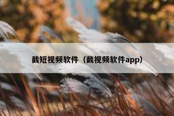 截短视频软件（截视频软件app）