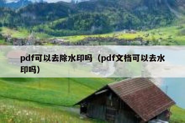 pdf可以去除水印吗（pdf文档可以去水印吗）