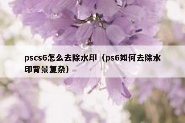 pscs6怎么去除水印（ps6如何去除水印背景复杂）