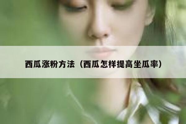 西瓜涨粉方法（西瓜怎样提高坐瓜率）