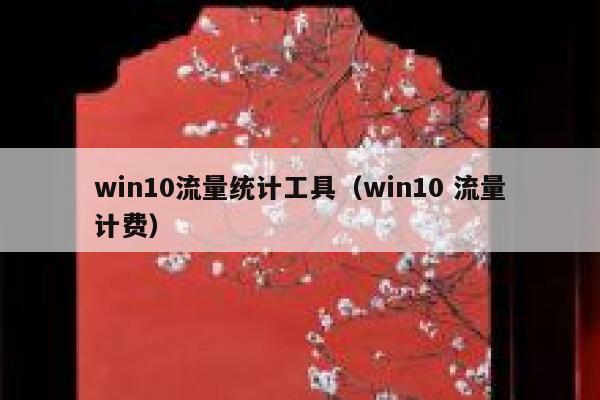 win10流量统计工具（win10 流量计费）