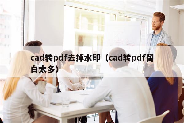 cad转pdf去掉水印（cad转pdf留白太多）