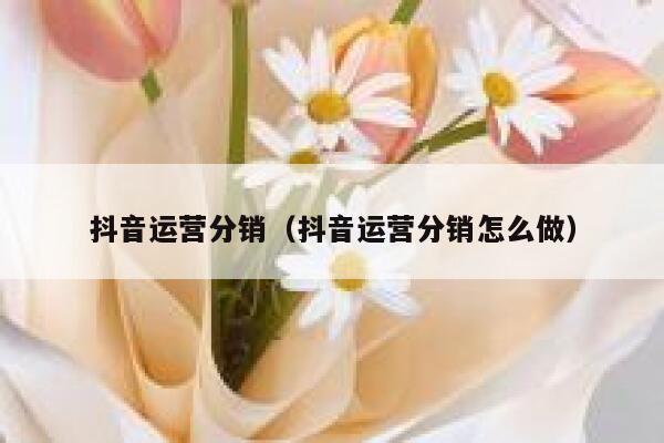 抖音运营分销（抖音运营分销怎么做）