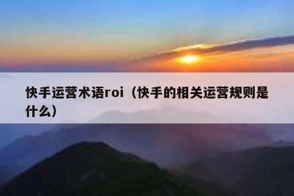 快手运营术语roi（快手的相关运营规则是什么）