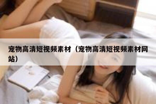 宠物高清短视频素材（宠物高清短视频素材网站）