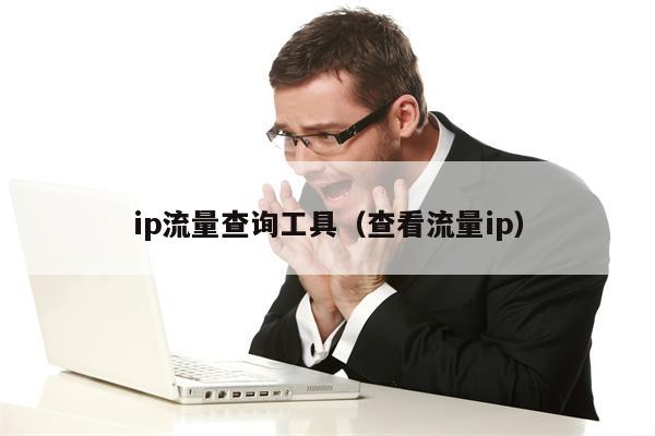 ip流量查询工具（查看流量ip）