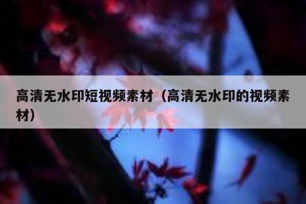 高清无水印短视频素材（高清无水印的视频素材）