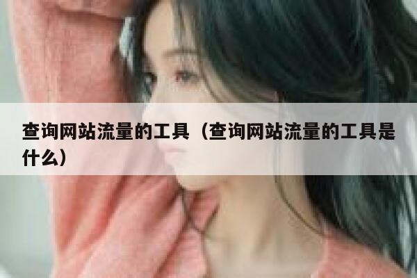 查询网站流量的工具（查询网站流量的工具是什么）