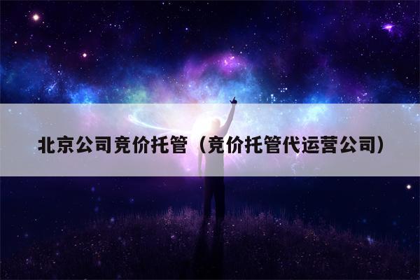 北京公司竞价托管（竞价托管代运营公司）