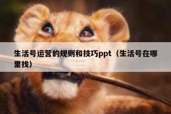 生活号运营的规则和技巧ppt（生活号在哪里找）