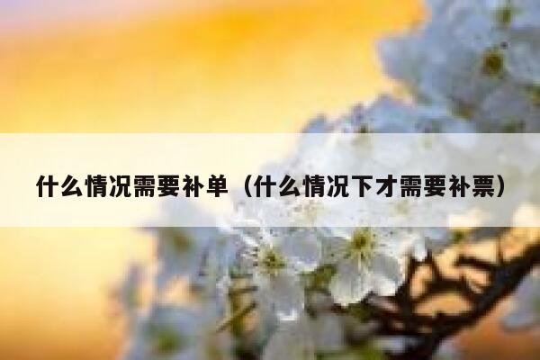 什么情况需要补单（什么情况下才需要补票）