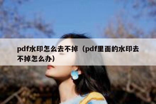 pdf水印怎么去不掉（pdf里面的水印去不掉怎么办）