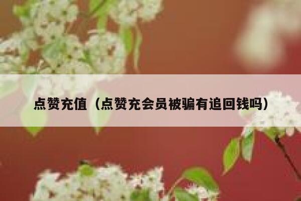 点赞充值（点赞充会员被骗有追回钱吗）