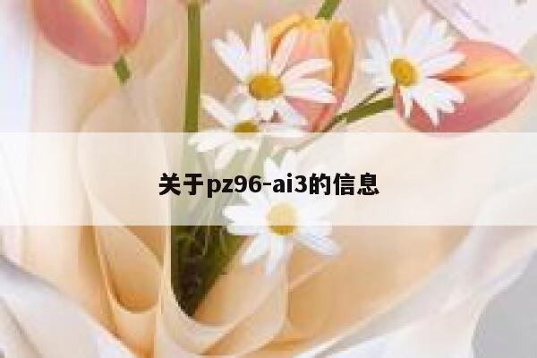 关于pz96-ai3的信息