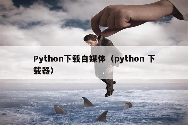 Python下载自媒体（python 下载器）