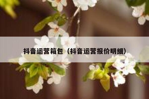 抖音运营箱包（抖音运营报价明细）