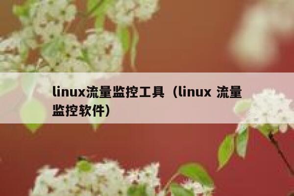 linux流量监控工具（linux 流量监控软件）