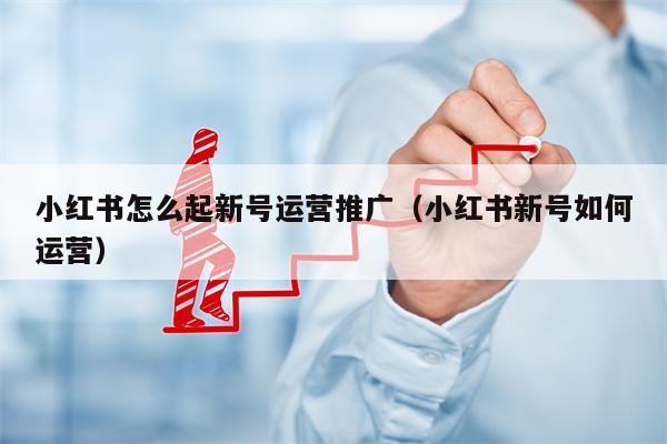 小红书怎么起新号运营推广（小红书新号如何运营）