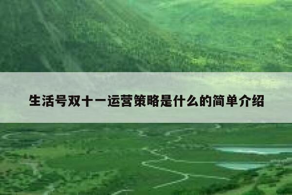 生活号双十一运营策略是什么的简单介绍