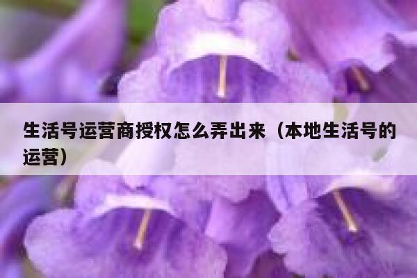 生活号运营商授权怎么弄出来（本地生活号的运营）