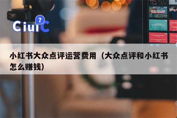 小红书大众点评运营费用（大众点评和小红书怎么赚钱）