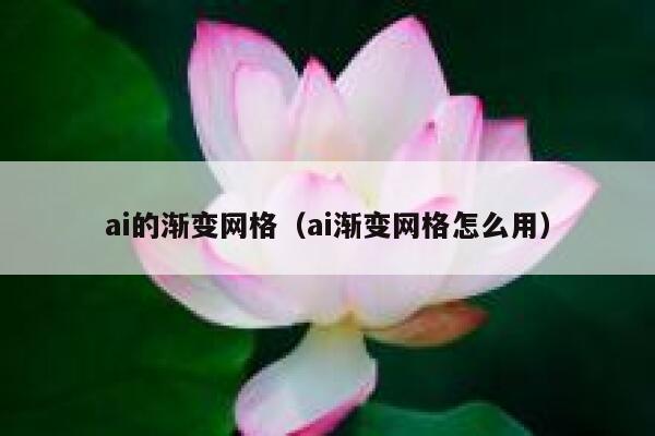 ai的渐变网格（ai渐变网格怎么用）