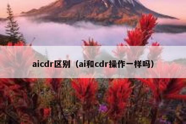 aicdr区别（ai和cdr操作一样吗）