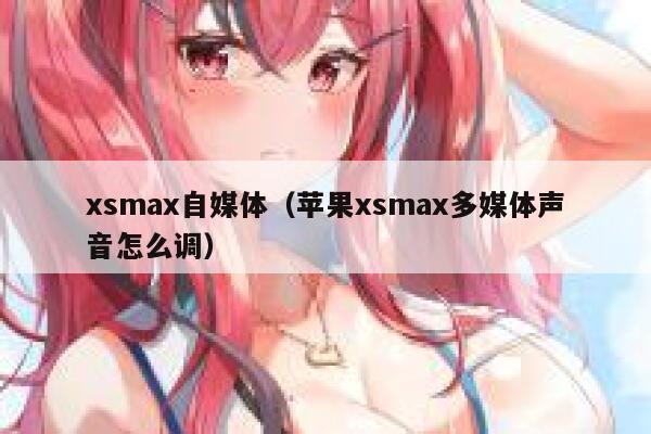 xsmax自媒体（苹果xsmax多媒体声音怎么调）