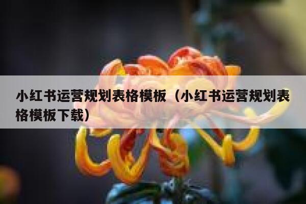 小红书运营规划表格模板（小红书运营规划表格模板下载）