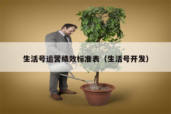 生活号运营绩效标准表（生活号开发）